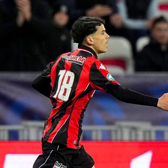 Renard Des surfaces tweet media