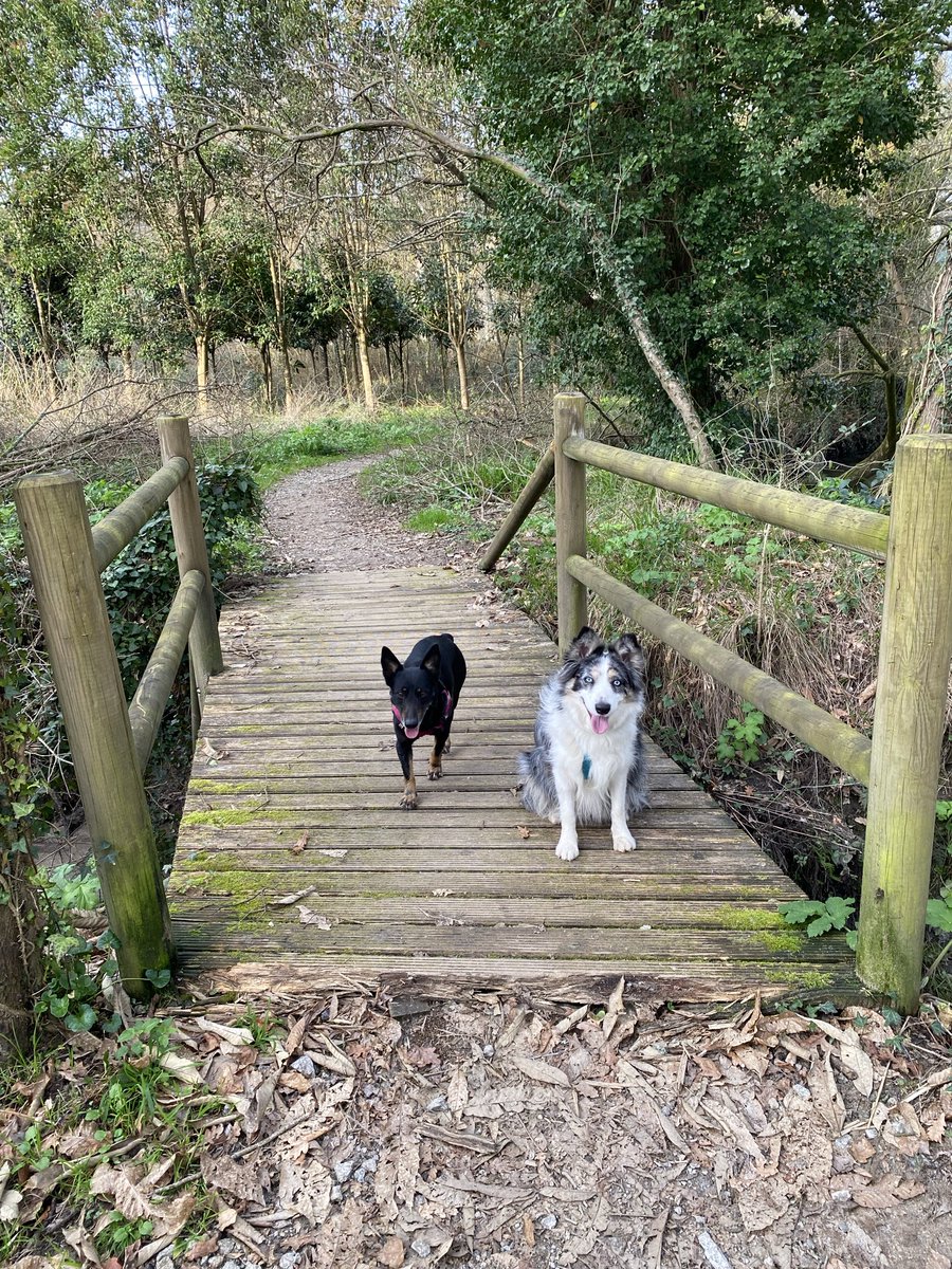 <a href="/ssxamdx/">M</a> haberá que aproveitar para seguir disfrurandoo mentres se poida, unha mágoa