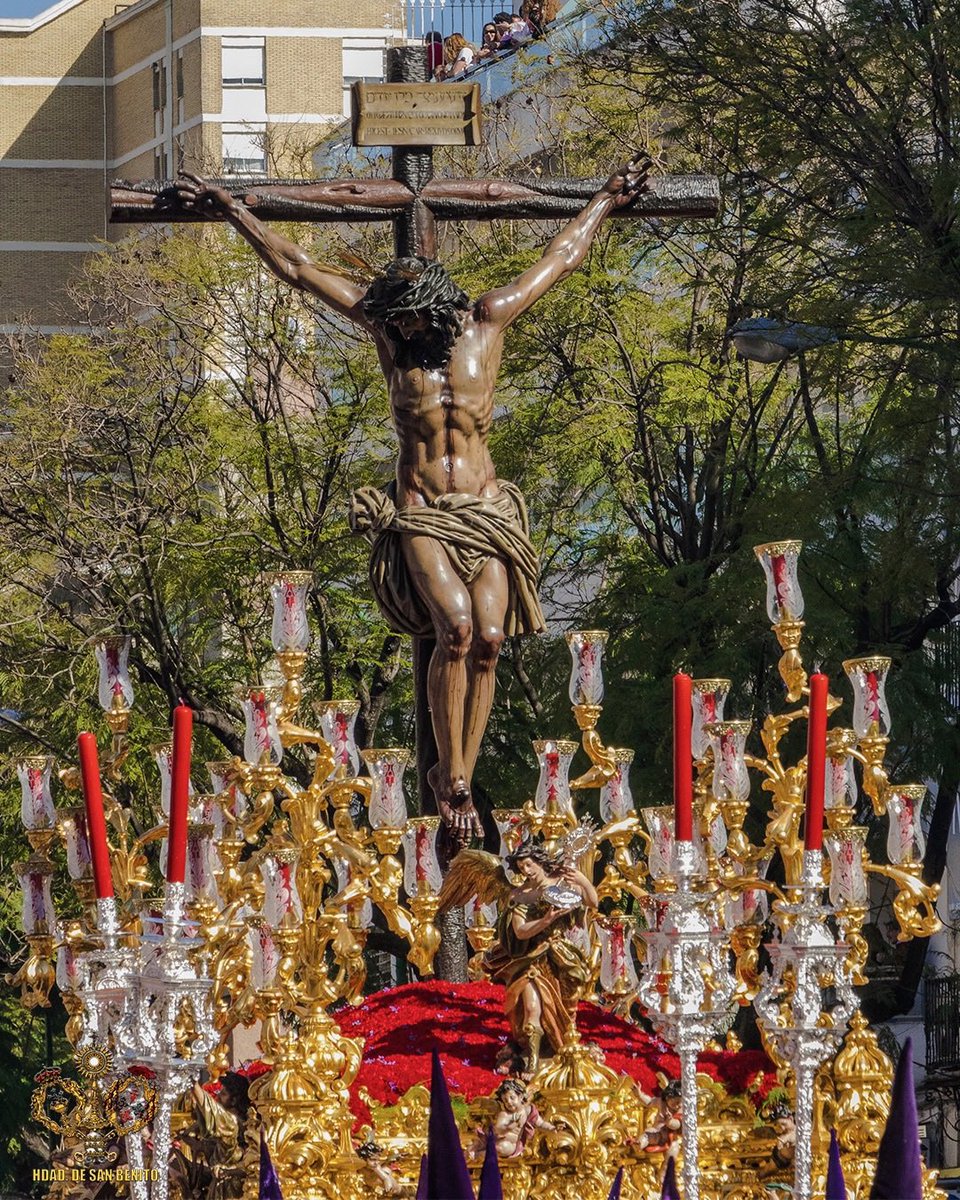 Acólitos San Benito tweet media