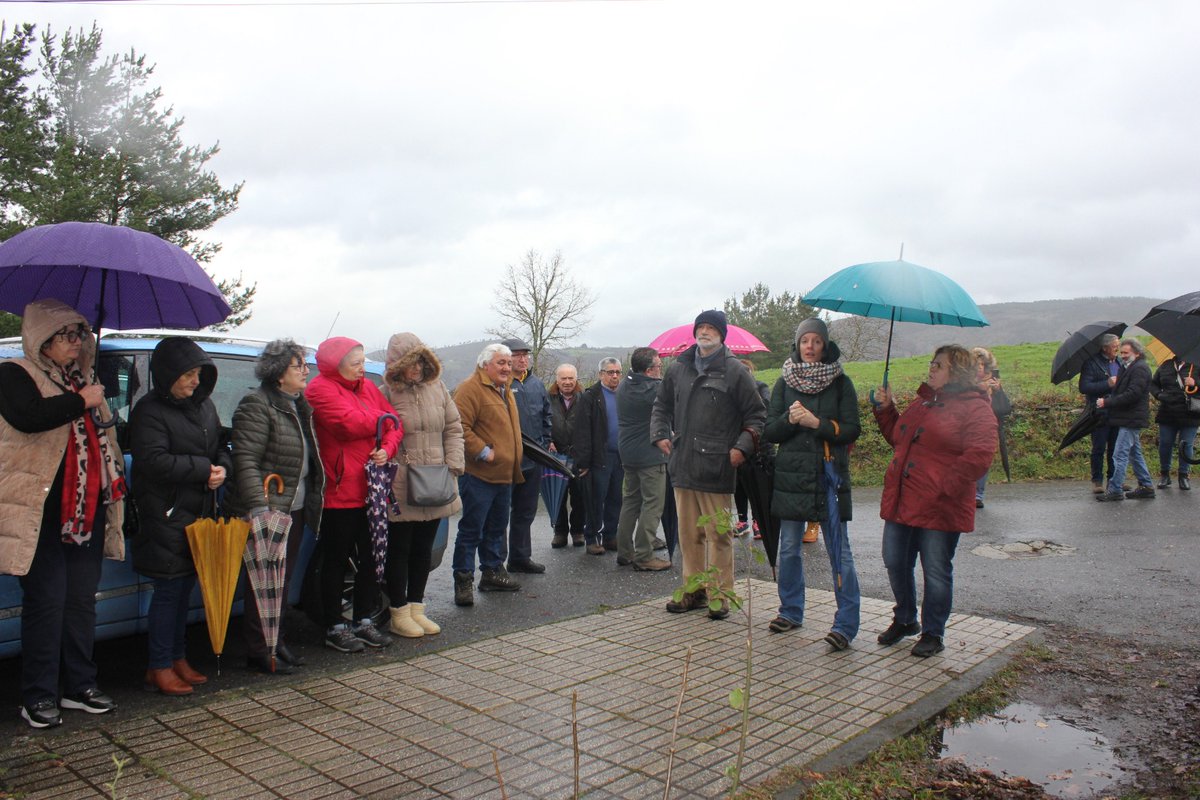 Olalla Rodil tweet media