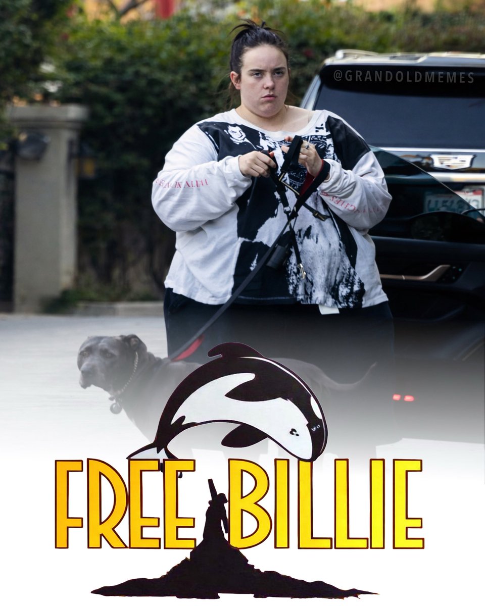 The Right To Bear Memes (@grandoldmemes) on Twitter photo 