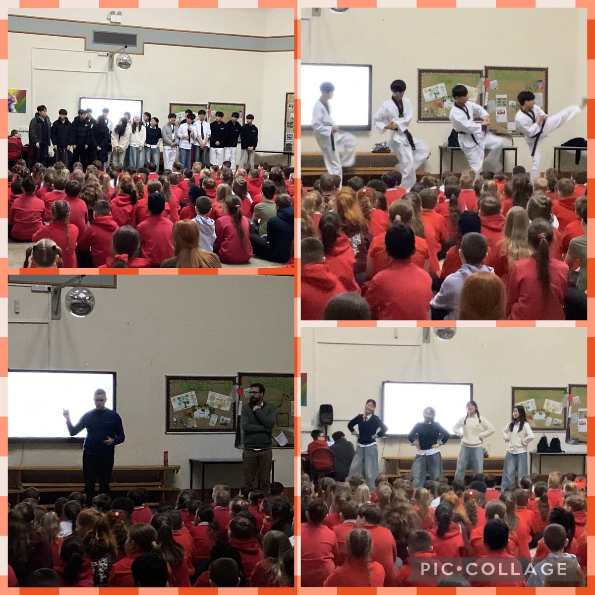 Garnteg Primary tweet media