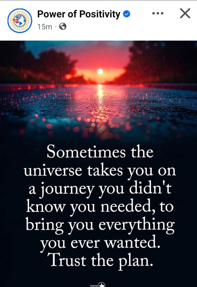 Nicole Shaffer 🐾 tweet media