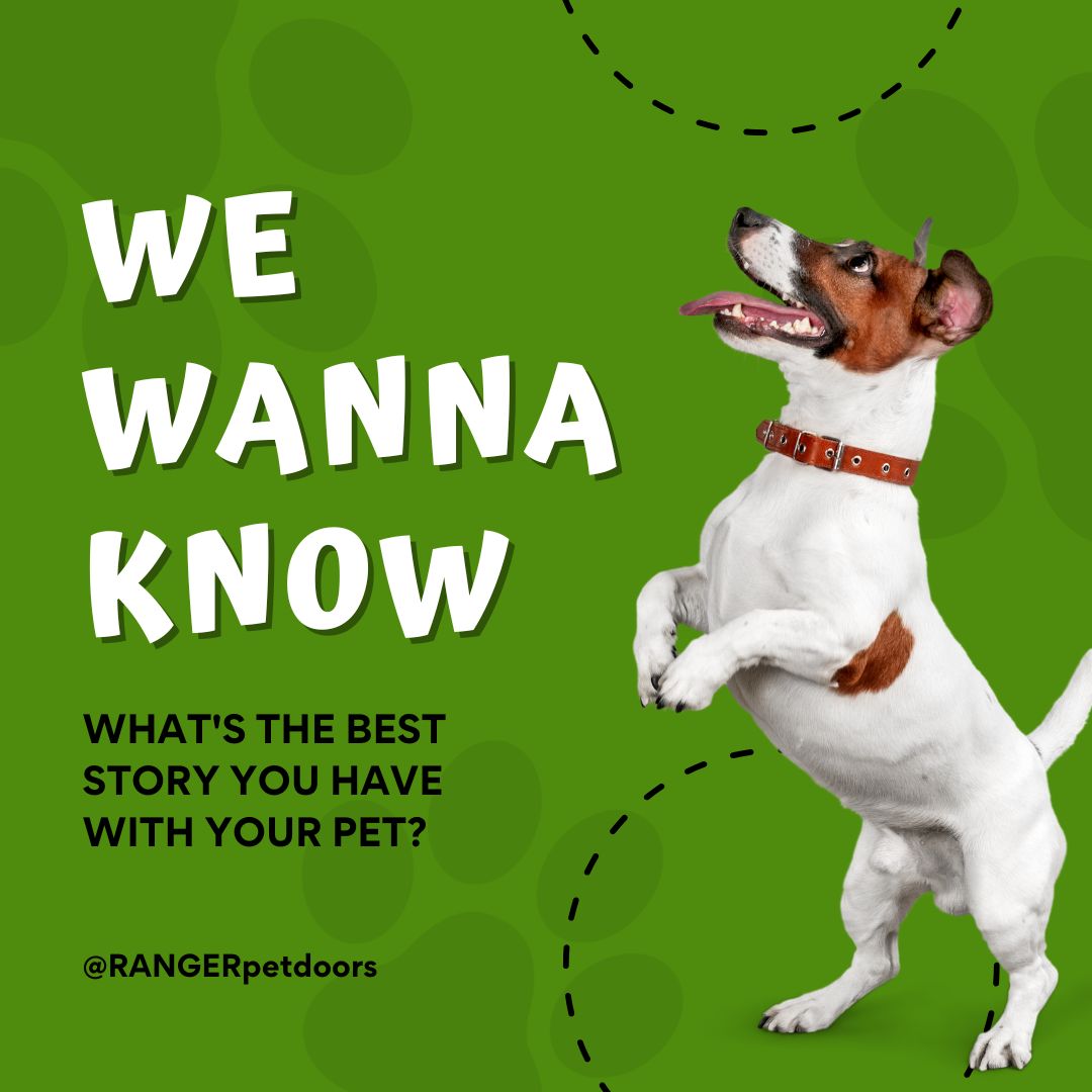 FreedomPetPass's tweet photo. What’s the BEST (or funniest) story you have with your pet?
We’re ready to laugh, cry, and say “aww” 👇💬 https://t.co/tKTAPGnqSH