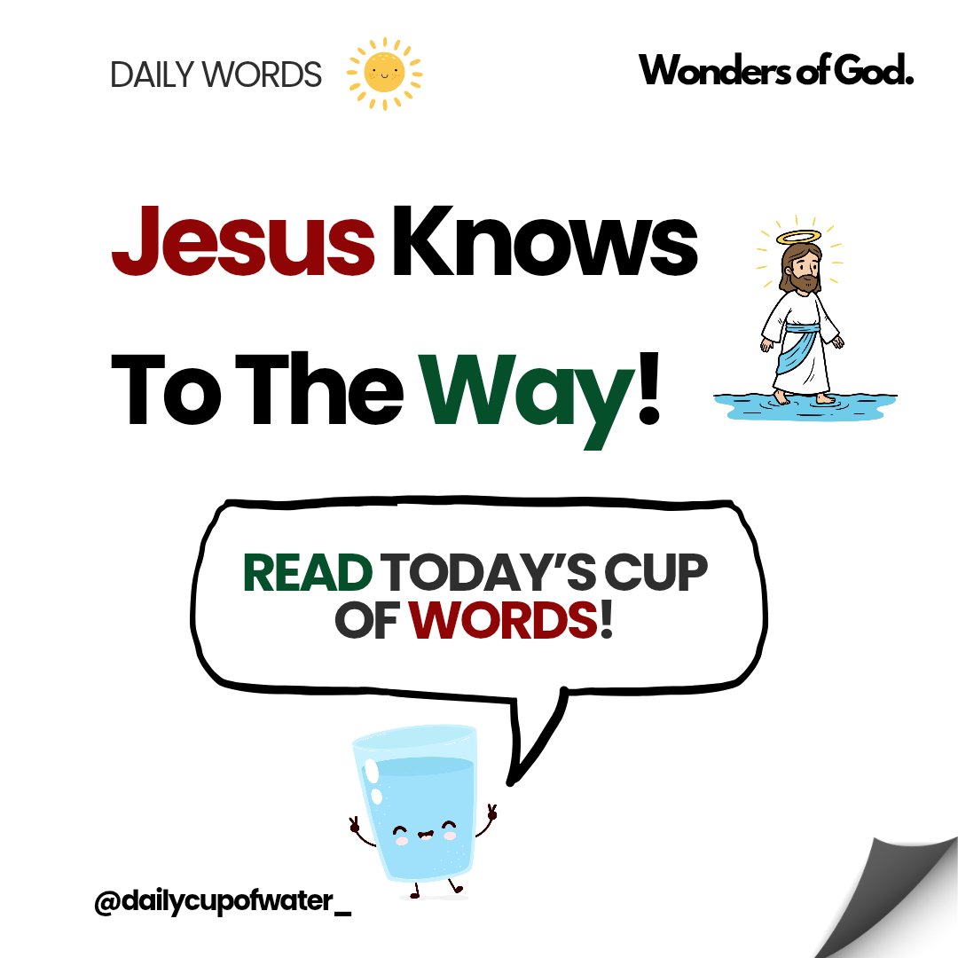 dailycupofwater's tweet photo. Daily Words: Submit All To God!

Rely On God's Leading! #devotional

He Knows The End From The Beginning! For He Is All-Knowing God!🎺🌍 #jesus

His Purpose For You Is To Strive! For His Thoughts For You Are Good &amp; Not Evil!👼🏽🛤️

Take A Minute &amp; Talk To God!🙇🏽👑 #dailywords https://t.co/xr7K0hEG6W