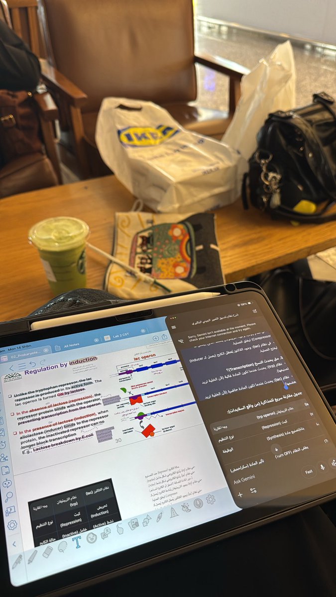 لانـا tweet media