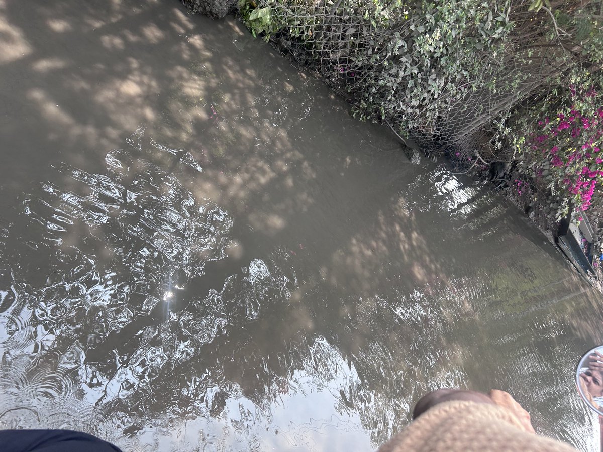 MansiAnish's tweet photo. @DC_Nizampet This is towards KNR green Valley from Nizampet water tank Road. This is been there from Past 1 year Causing Traffic and Sickness surrounding.. Please have them look into it https://t.co/aVdQfySG5w