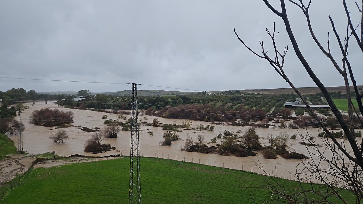 Ngelgueni's tweet photo. Imagen de el Guadalete ocupando su llanura de inundación y cómo se encaja en el estrechamiento del puente. Todo está escrito. @meteocadiz https://t.co/gihbdXub8G