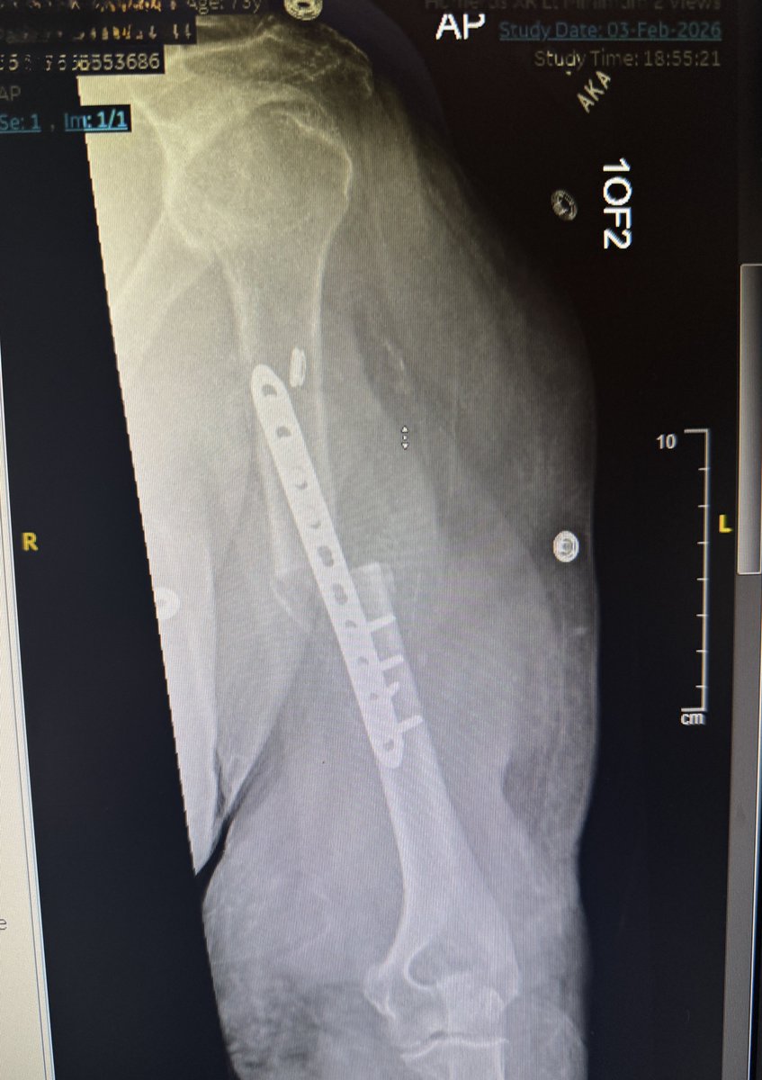 Diary of Abandonment tweet media