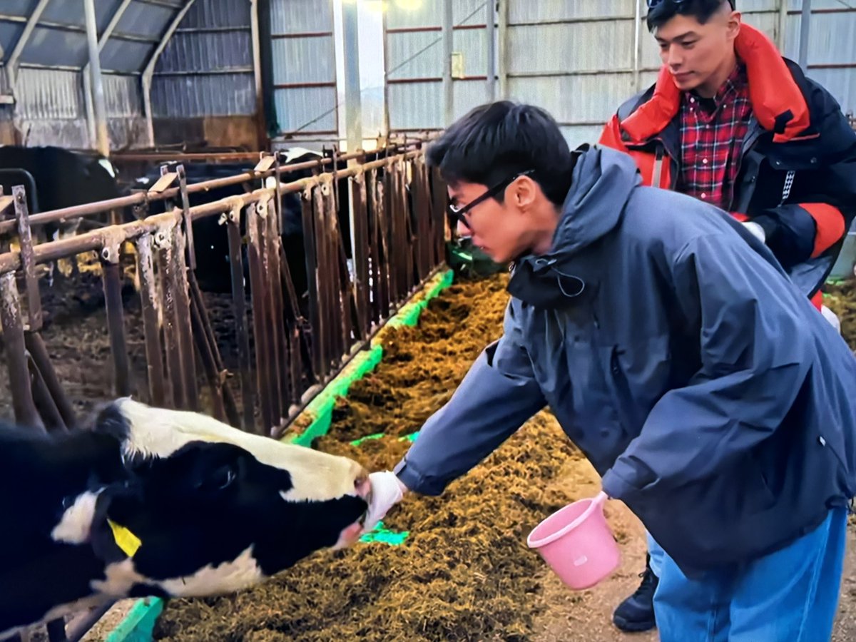 wataiken's tweet photo. 冬季はclose中ですが、団体予約のみ営業してます🐮今月Netflixで配信中のボーイフレンドシーズン2では、弟子屈町もロケ地に⛄️���やり体験ありがとうございました💓　#ボーイフレンド2 #渡辺体験牧場　#弟子屈　#Netflix   #摩周湖　#硫黄山　　#屈斜路湖　道東の冬の魅力満載なので、是非ご覧ください😊 https://t.co/g7mjRsPf7N