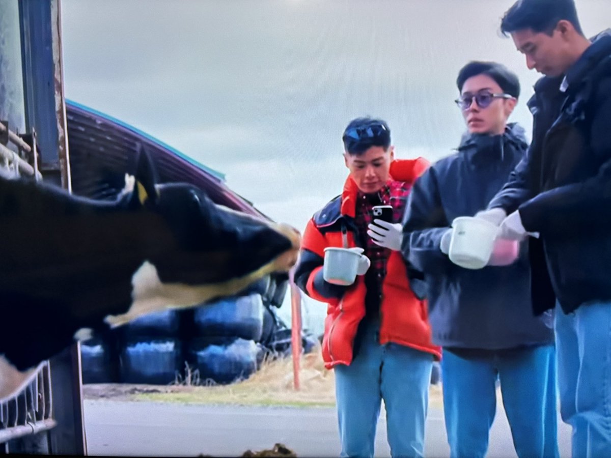 wataiken's tweet photo. 冬季はclose中ですが、団体予約のみ営業してます🐮今月Netflixで配信中のボーイフレンドシーズン2では、弟子屈町もロケ地に⛄️���やり体験ありがとうございました💓　#ボーイフレンド2 #渡辺体験牧場　#弟子屈　#Netflix   #摩周湖　#硫黄山　　#屈斜路湖　道東の冬の魅力満載なので、是非ご覧ください😊 https://t.co/g7mjRsPf7N