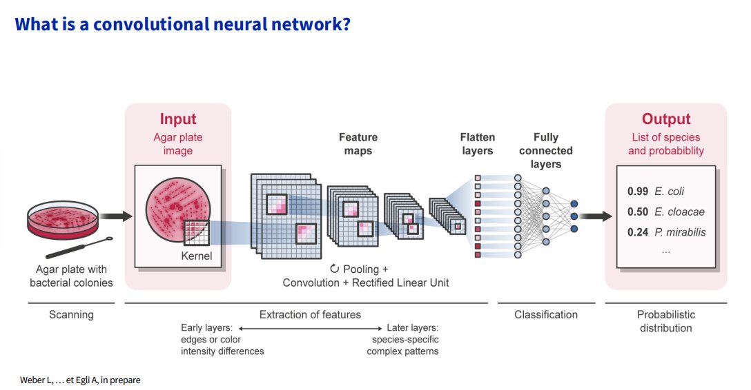 UCT_OHRU's tweet photo. Some highlights from last week's lecture by Professor Adrian Egli from the University of Zurich,  on  AI and diagnostic virology at UCT.  

Education is key and important for keeping up with AI development.
#AI #InterventionDiagnostics #HealthcareRegulation https://t.co/RnNXtWiWOk