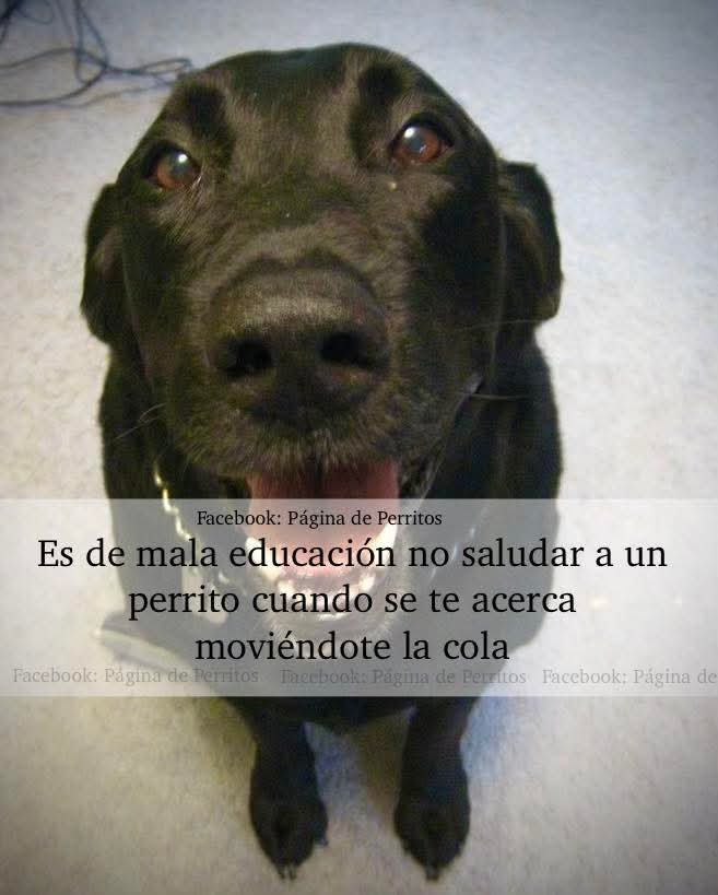 VIBRA tweet media
