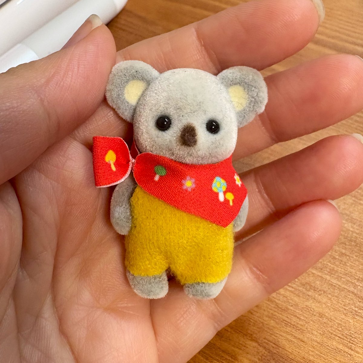 出張にたくさん連れていっているメイプルくんの鼻が消えてきたので復活施術！