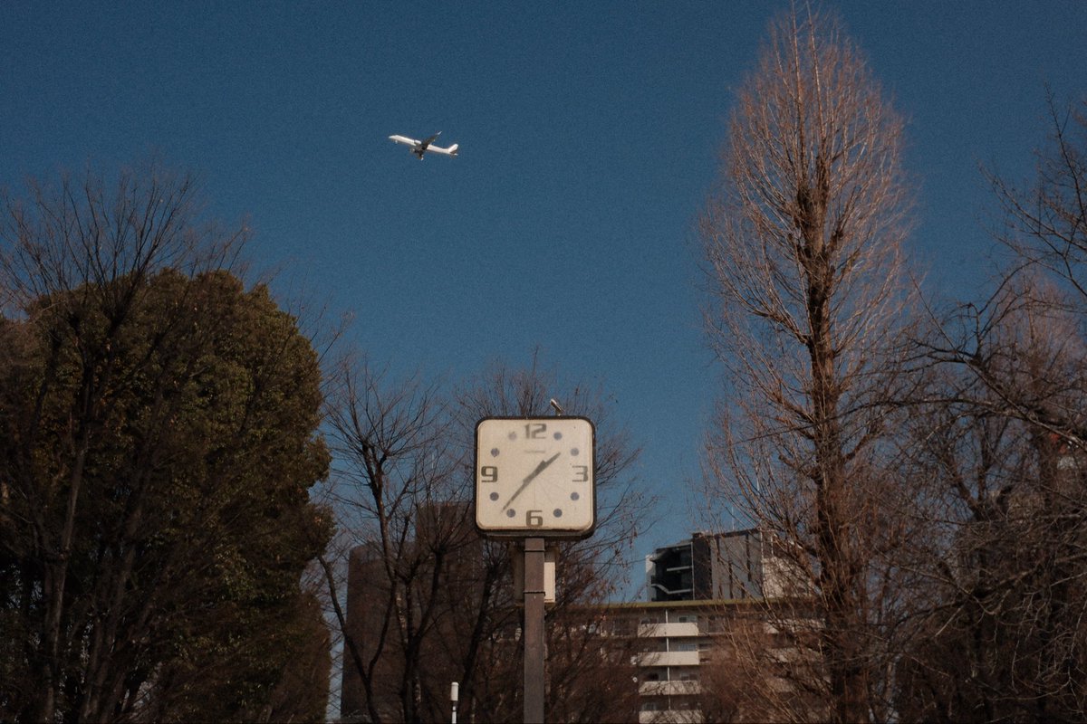 Daily Discard Project tweet media