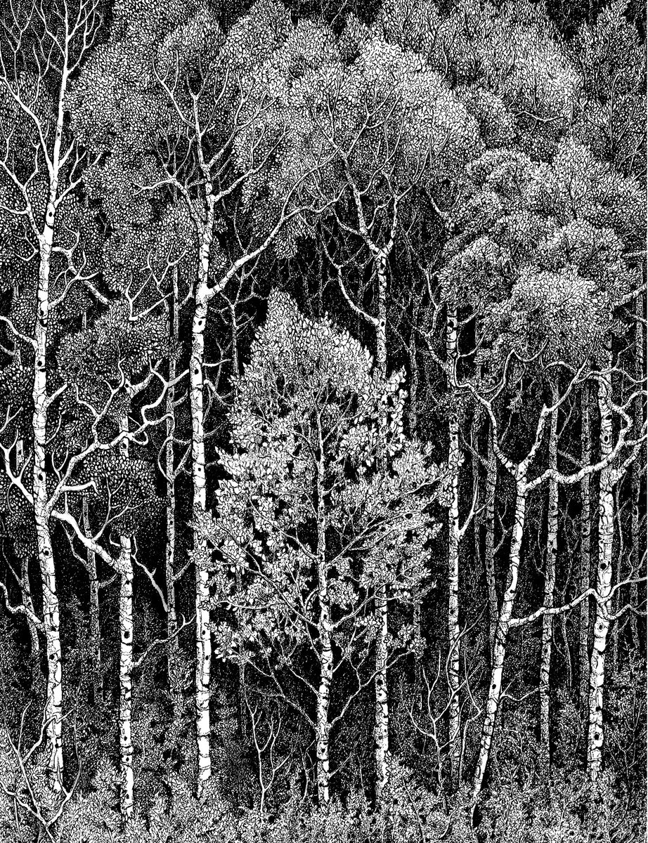 Ink and Trees