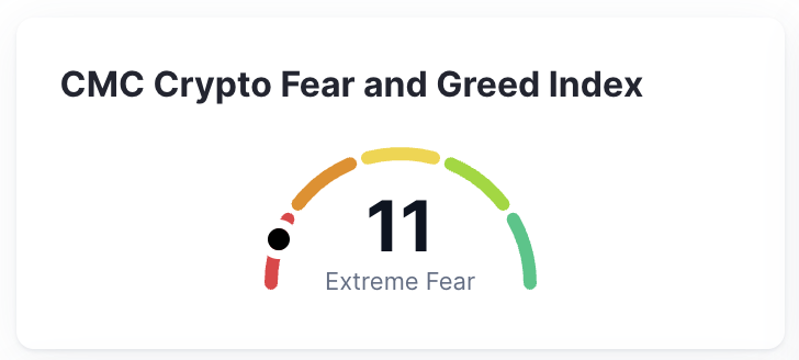 Augusto Galego tweet media