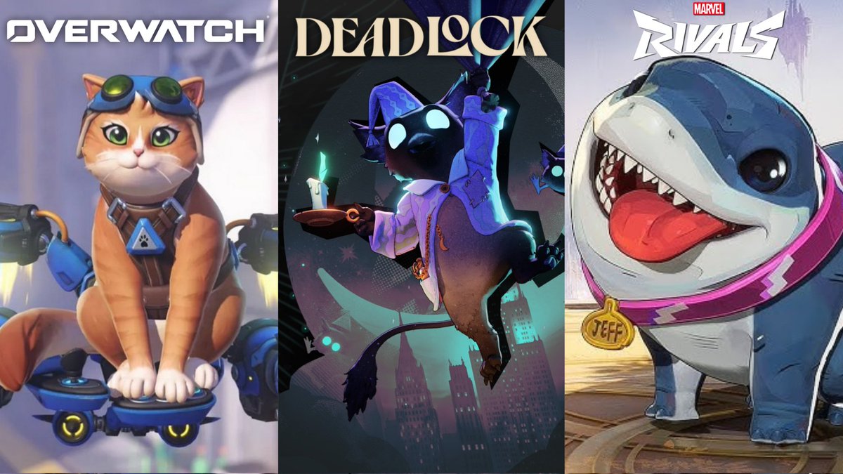 The Infopayload tweet media