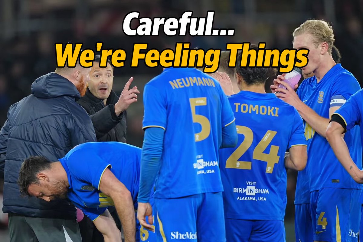 BCFC Fanzine tweet media