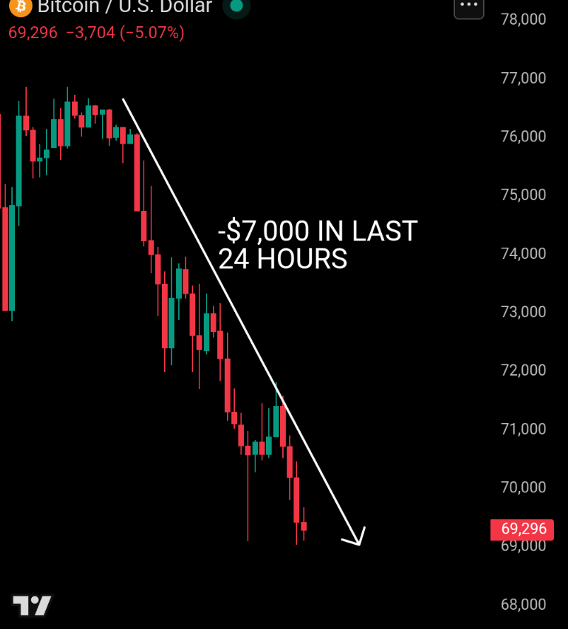 Bull Theory tweet media