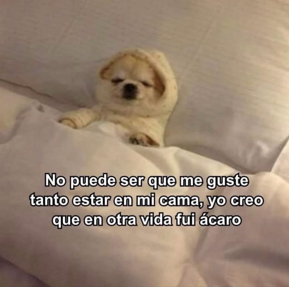 Yo creo.