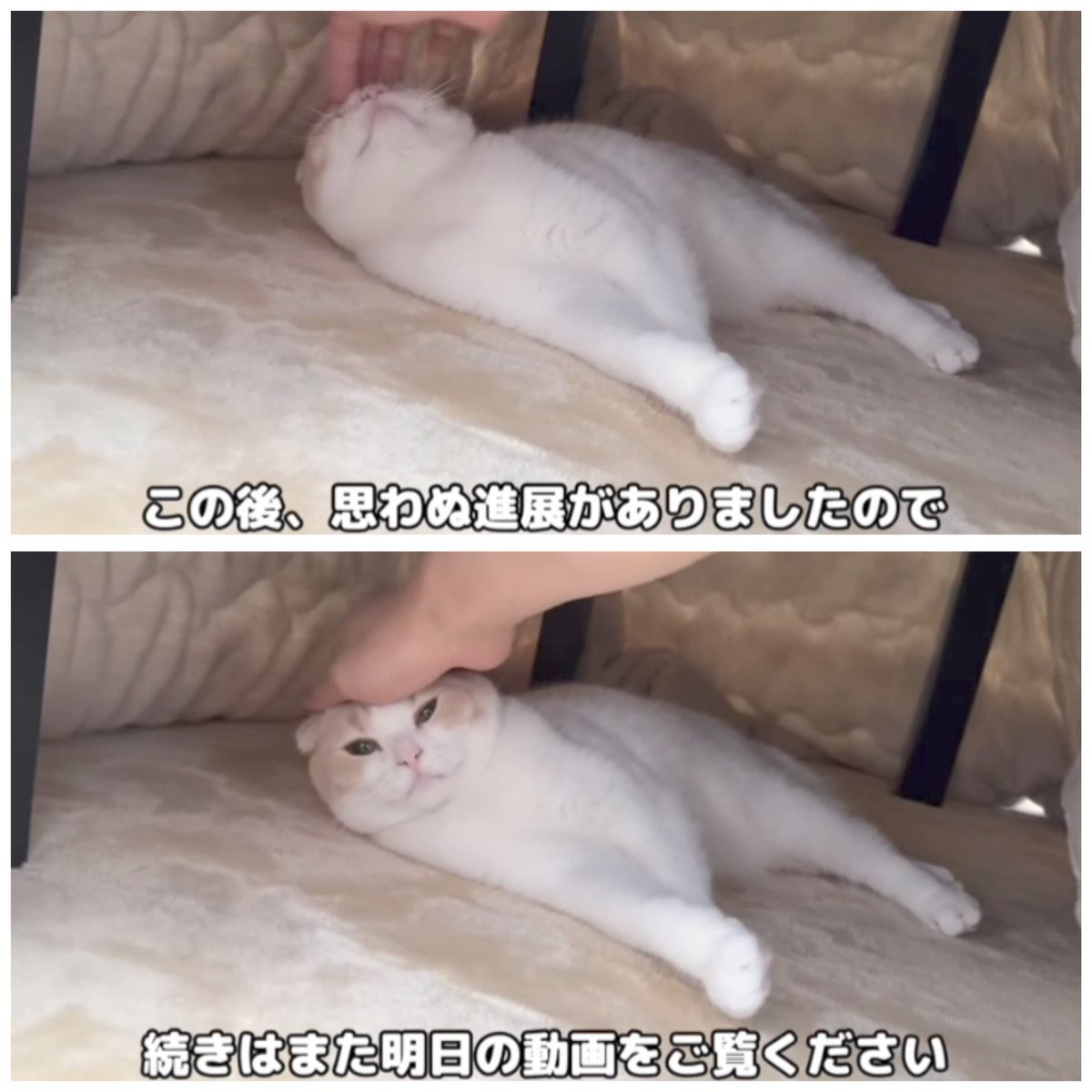 はなざくろ (@hana_zakulo) / Posts / X