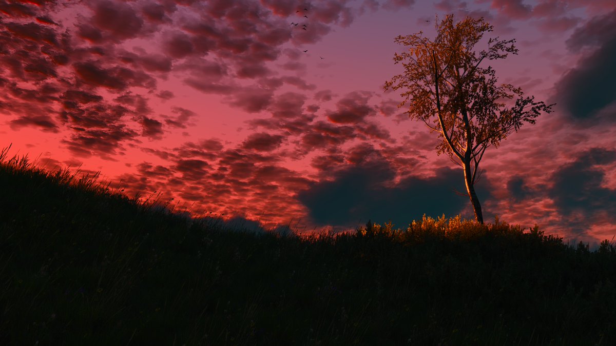 BLaze47192's tweet photo. #TheWitcher3 
#TheWitcher3PhotoMode
#VirtualPhotography https://t.co/oT96BKJYcQ