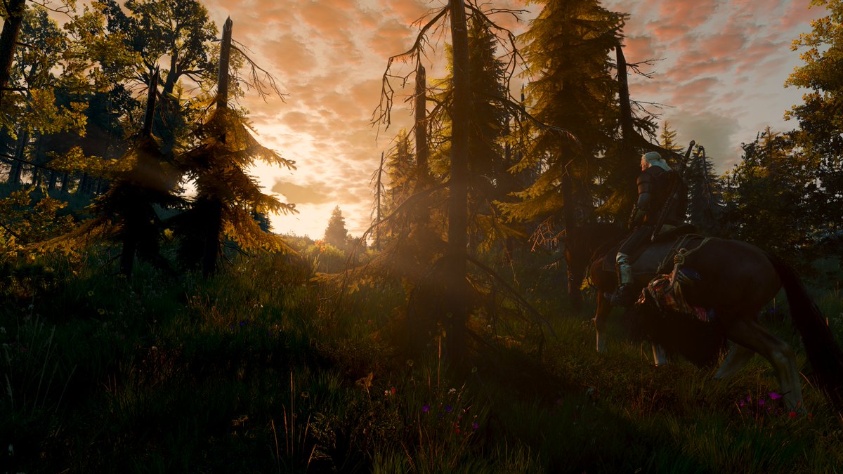 BLaze47192's tweet photo. #TheWitcher3 
#TheWitcher3PhotoMode
#VirtualPhotography https://t.co/oT96BKJYcQ