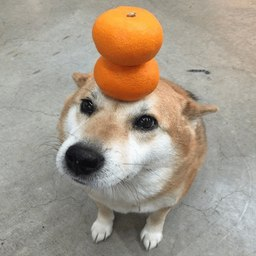 Majors are taking. But this Inu is stable.

FtVXn7Yau2gwob2PxwZmatcBoQnnUmZetzZTgwVppump