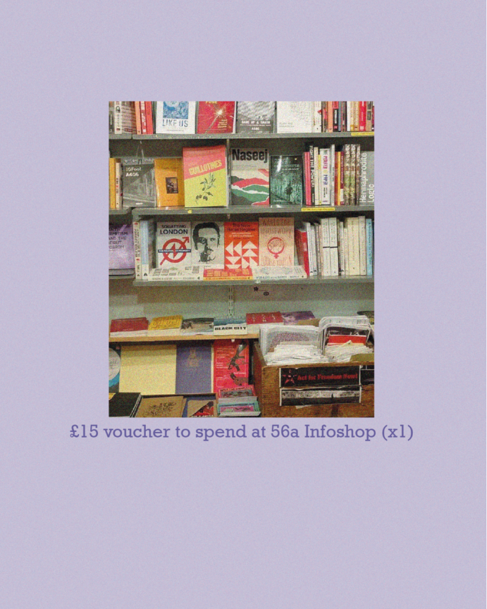 Latin Elephant tweet media