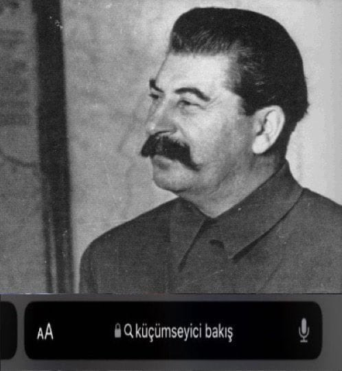 Leyla Çağla Bitiren (@leylacaglab) on Twitter photo 