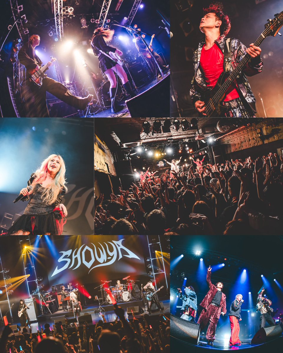 浅香 郁絵 / photographer tweet media