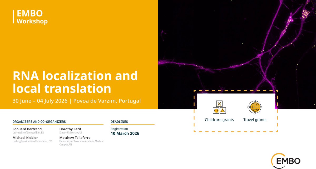 LeritLab tweet media