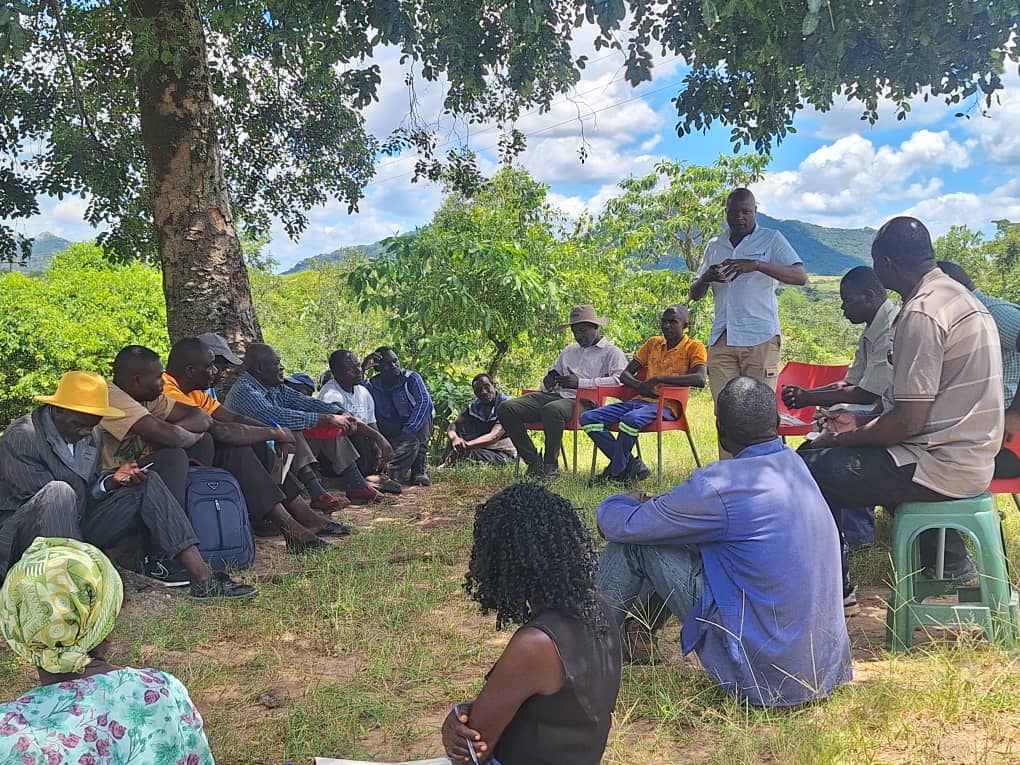 FACT Zimbabwe tweet media