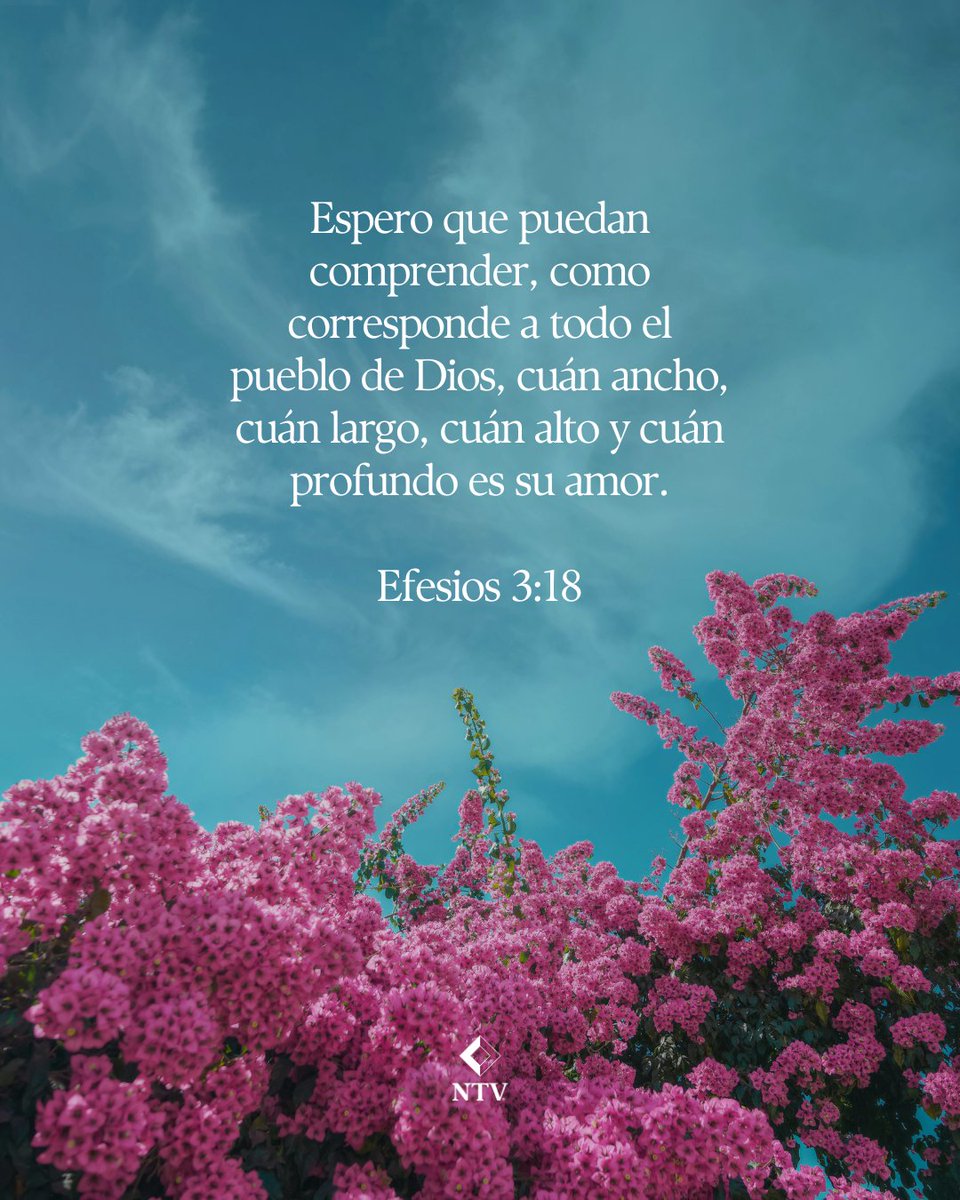 El amor de Dios es más grande de lo que alcanzamos a entender.

La Biblia nos ayuda a crecer en ese amor.

#AmordeDios #Biblia #NTV #versiculos #FeCristiana