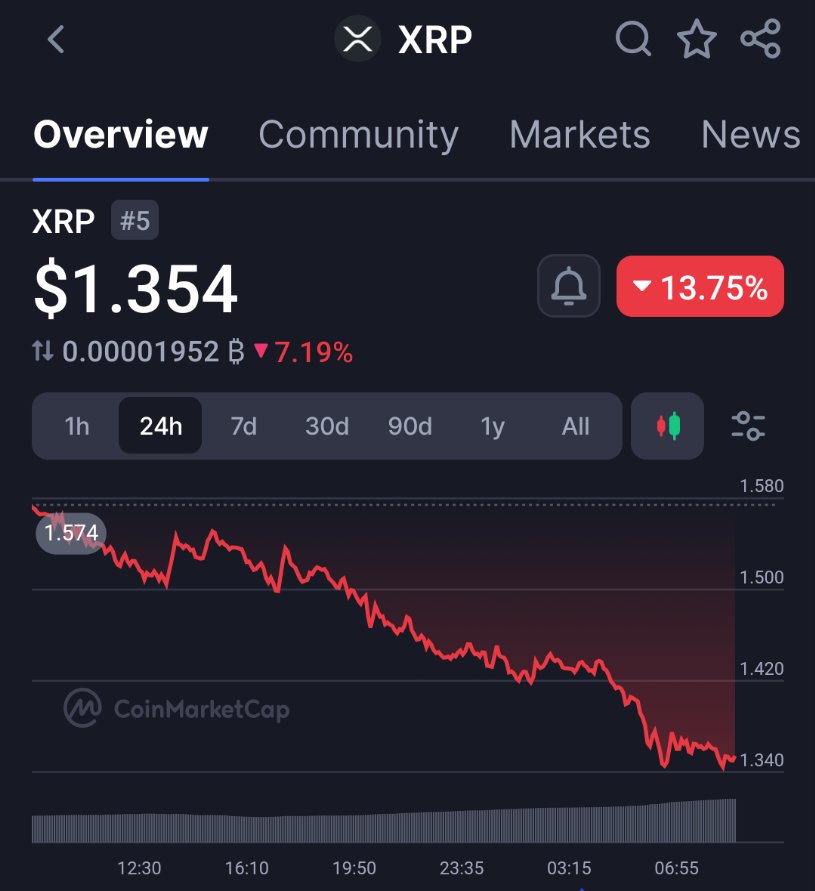 Echo 𝕏 tweet media