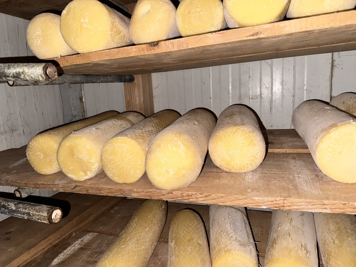 German Embassy in Eritrea tweet media