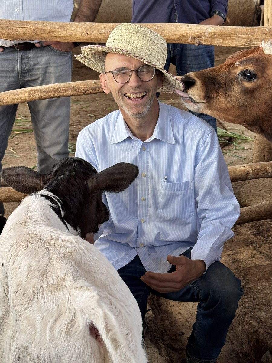 German Embassy in Eritrea tweet media