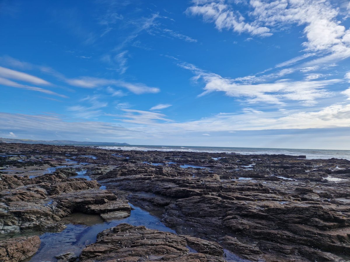 South West Coastal Monitoring tweet media
