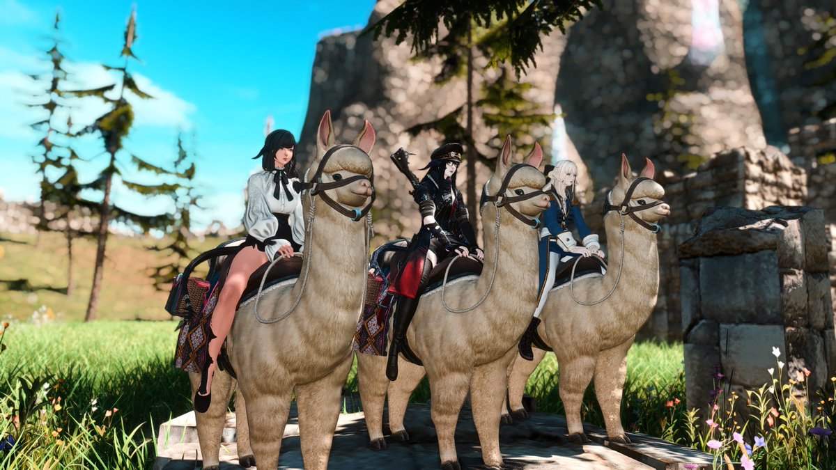 Lumiry tweet media