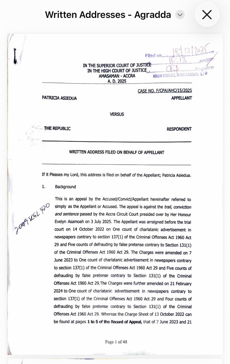 Agradaa’s lawyer’s written arguments for her appeal.

These are the reasons argued by her lawyer that led to the revision of her sentence.