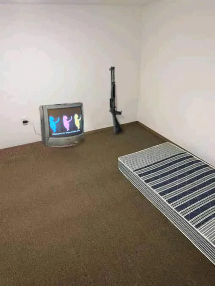 Ideal mike living space