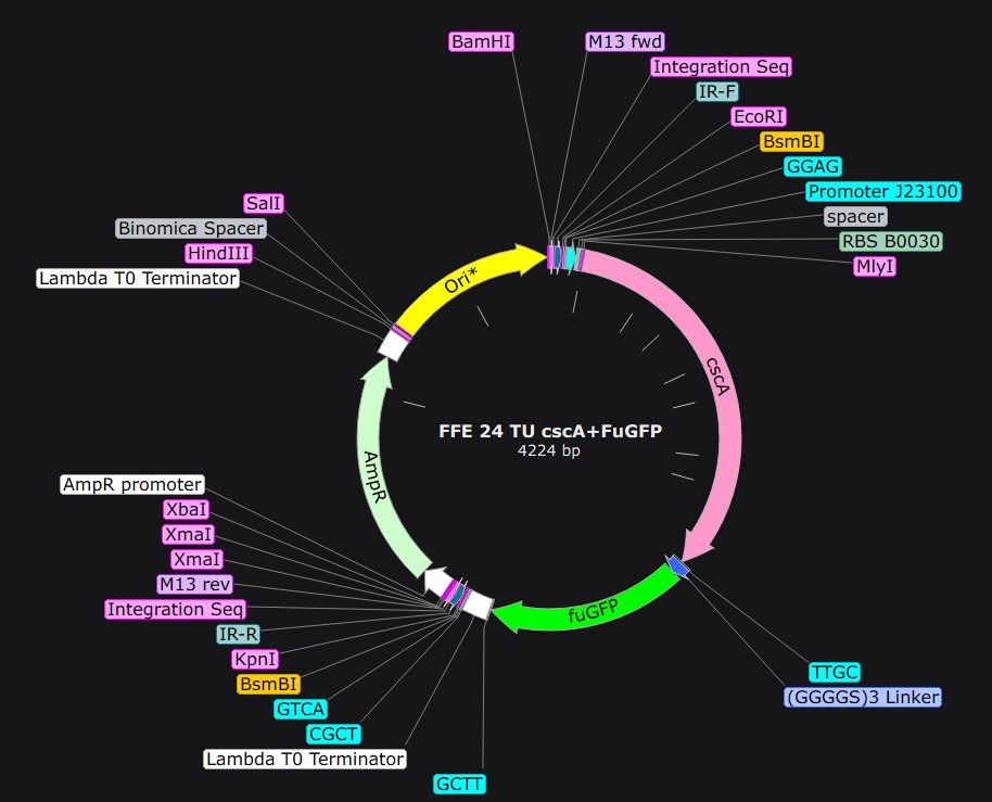 Sebastian S. Cocioba🪄🌷 tweet media