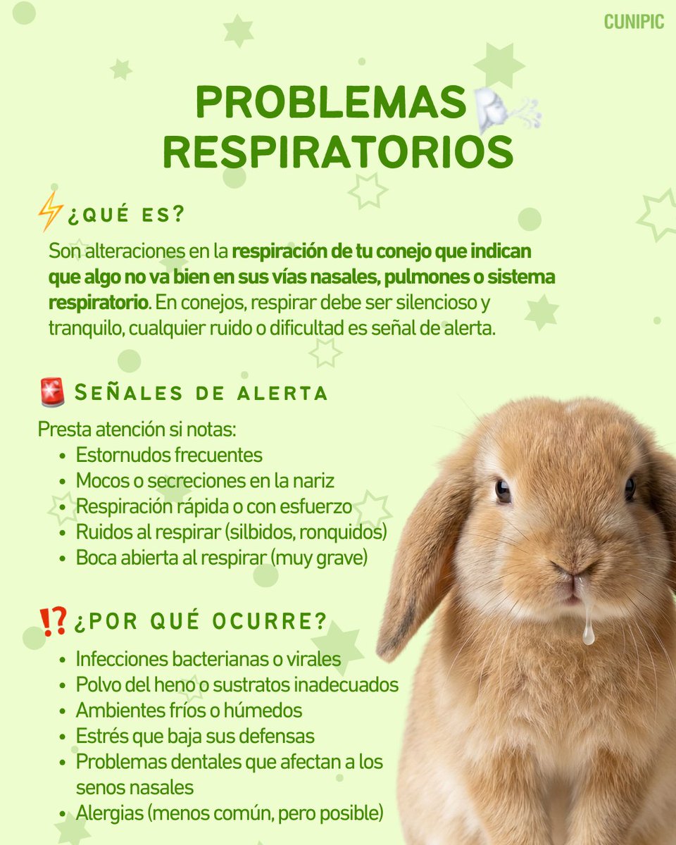 CUNIPIC l Alimentación natural para tu mascota tweet media