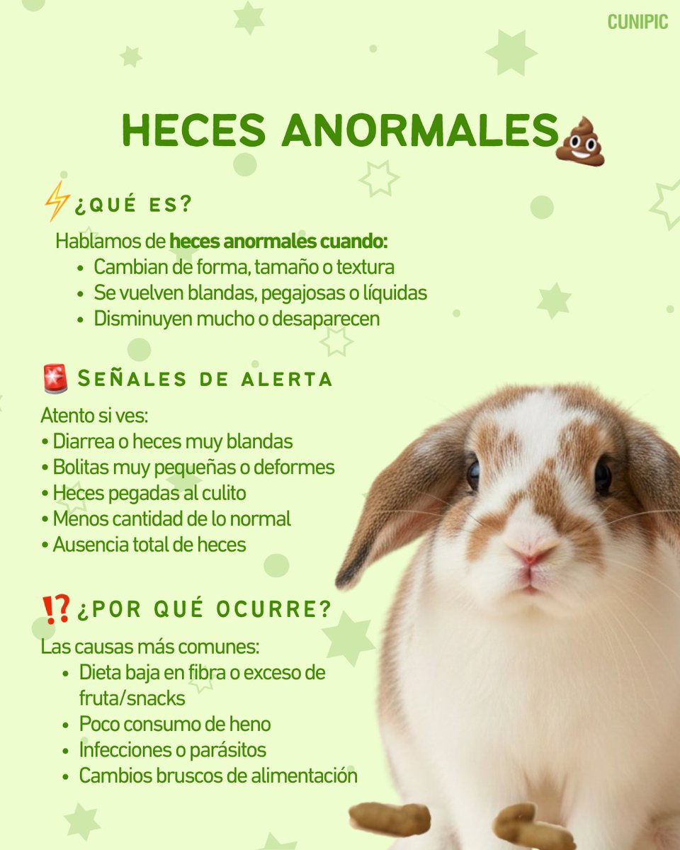CUNIPIC l Alimentación natural para tu mascota tweet media