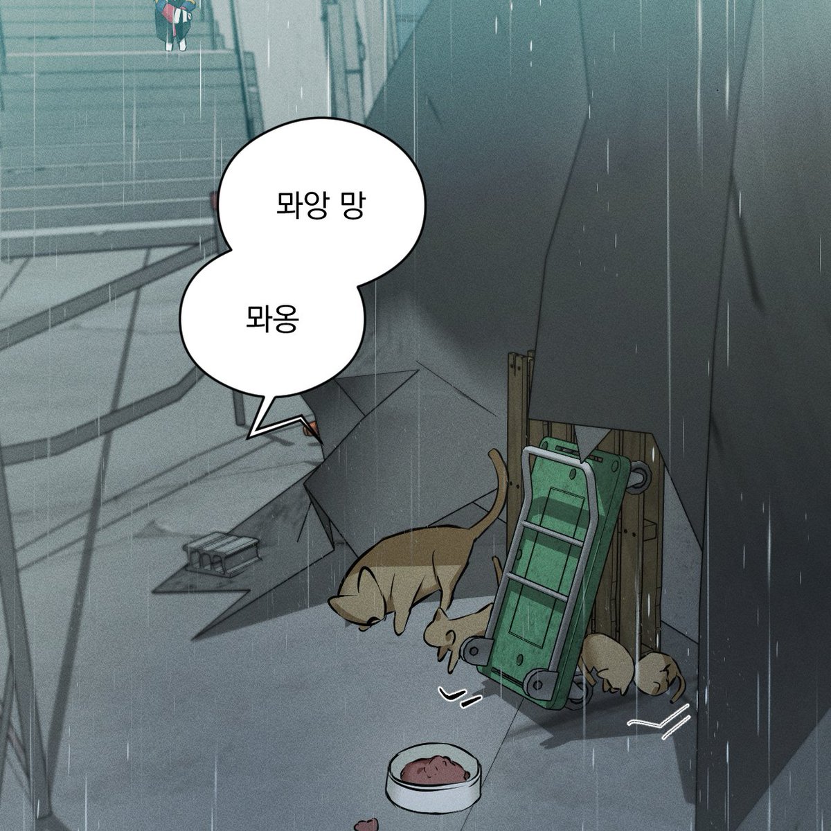 뽀보이 tweet media