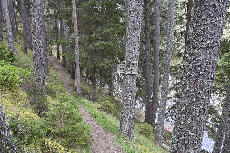 Experience Outdoors tweet media