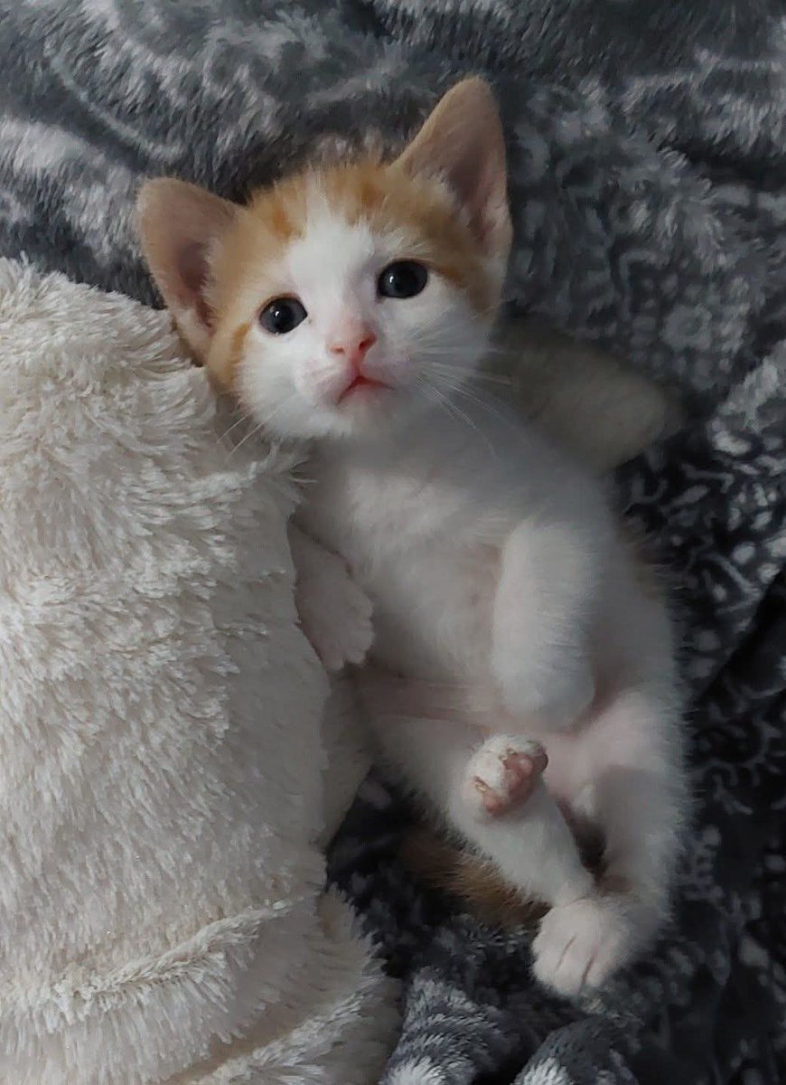 O nome dele é a última coisa que você comeu