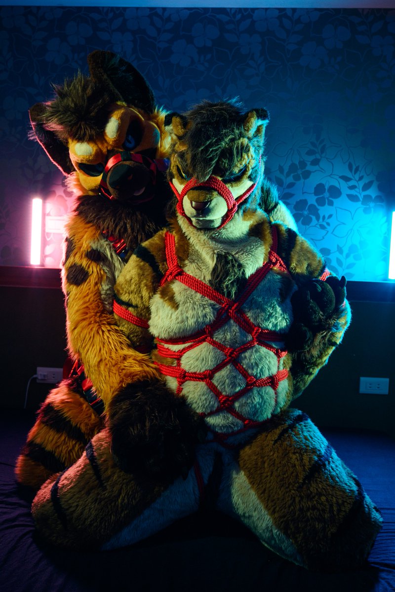 PLANT@TAIWAN tweet media