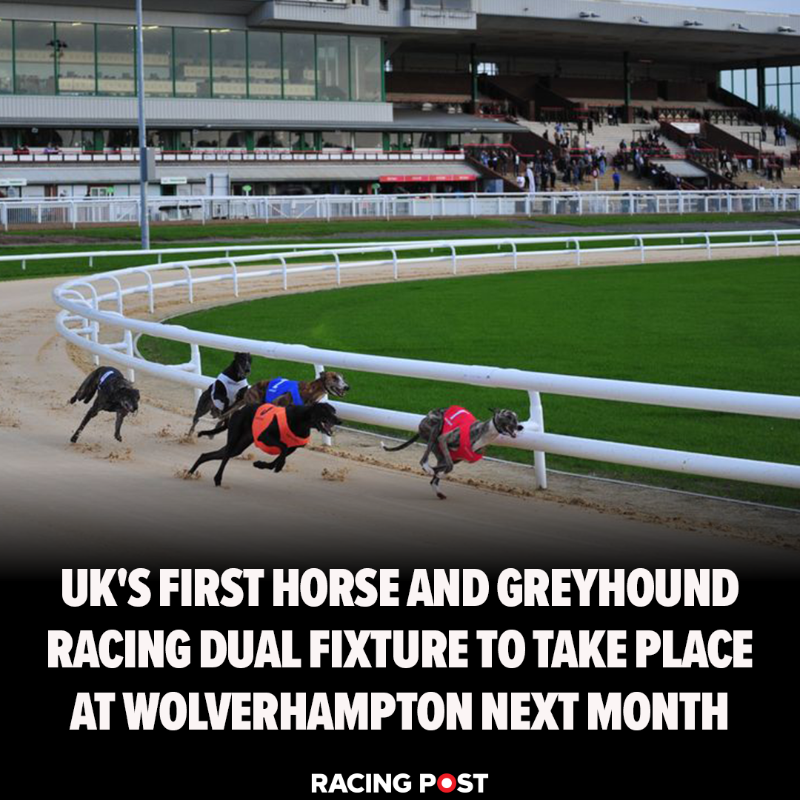 RacingPost's tweet photo. 🏇🤝🐶

Greyhound racing's newest track, which sits inside the all-weather circuit at Wolverhampton racecourse, is set to host the first combined day of horse and greyhound racing in UK sporting history on March 7